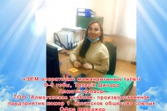 толесин-динара